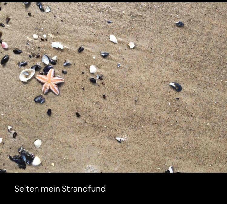 Die Kleine Acht - Direkt Am Strand Dierhagen Extérieur photo
