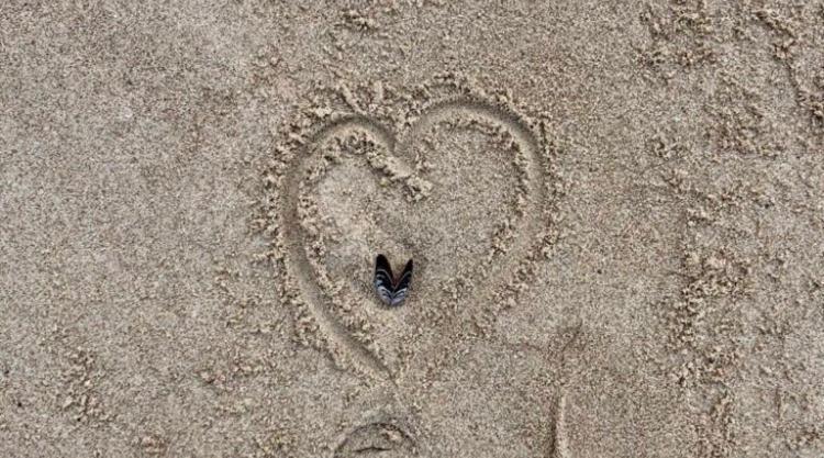 Die Kleine Acht - Direkt Am Strand Dierhagen Extérieur photo